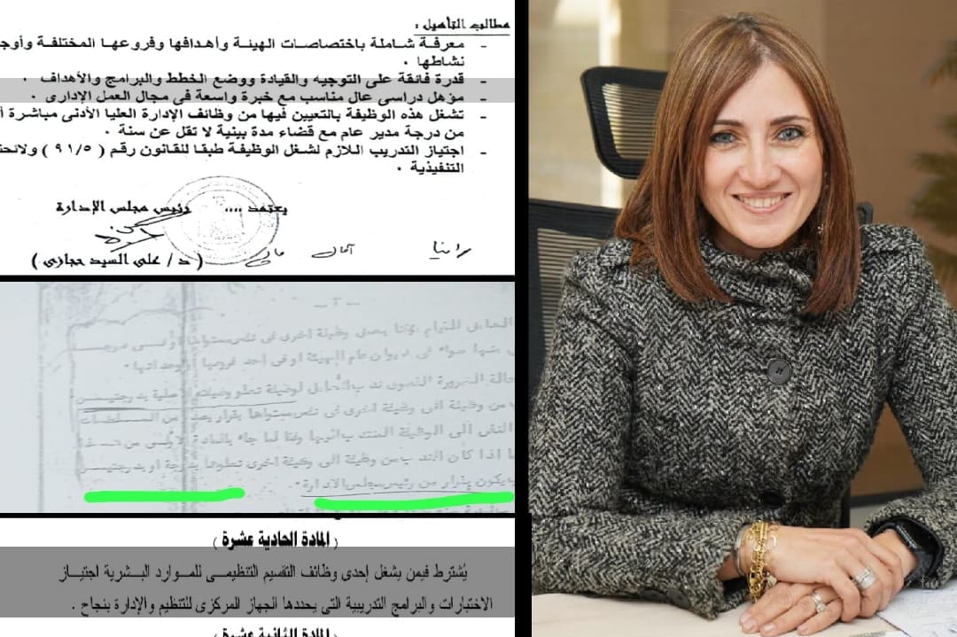بالمستندات والقرارات الرسمية هل تُسقط نصوص القانون حملة التشكيك فى إيناس النحاس؟